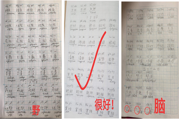 5学生作业.png